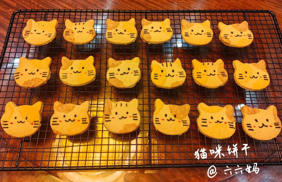 猫咪饼干