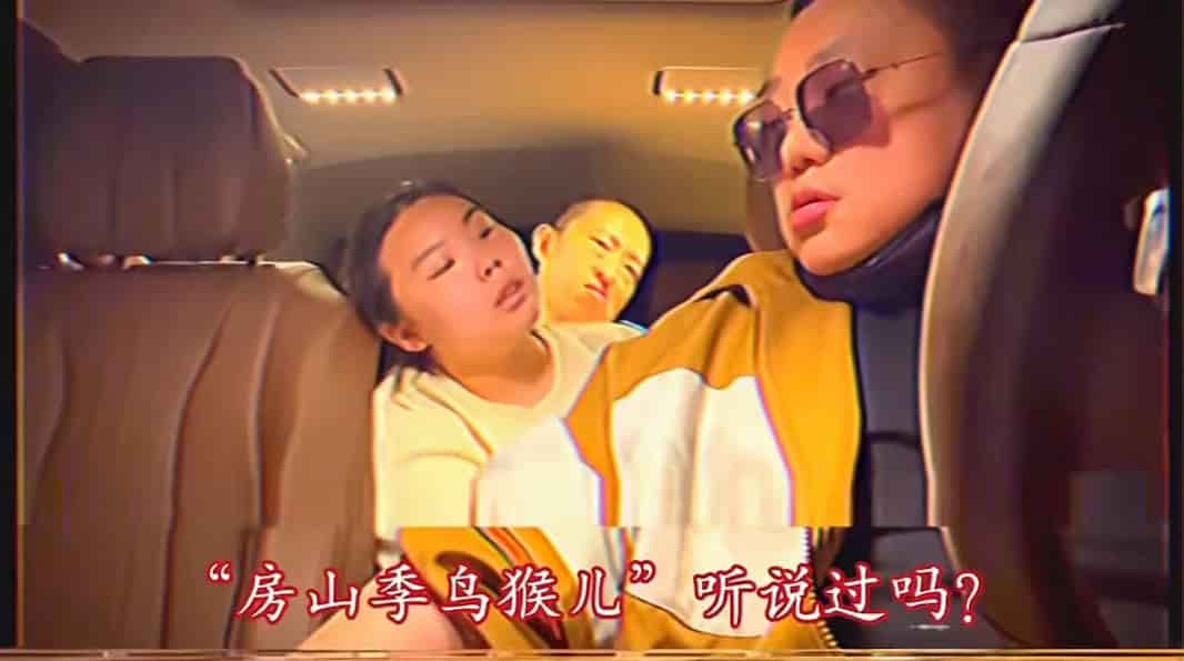 房山季鸟猴 房山季鸟猴