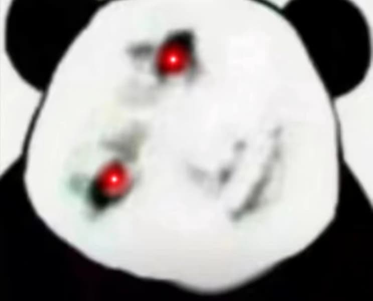 涂山我罩的 懂？