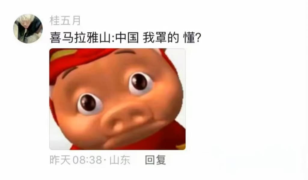 涂山我罩的 懂？